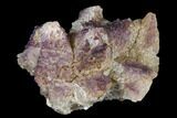 Calcite Crystals Dusted with Purple Fluorite - China #177570-1